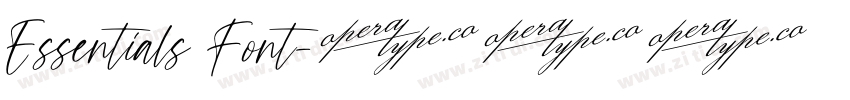 Essentials Font字体转换 Essentials Font字体转换